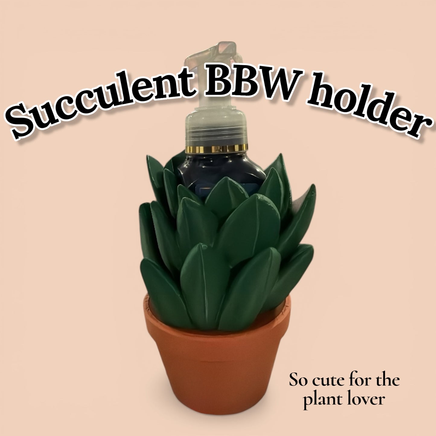 Sweet succulent BBW soap holder